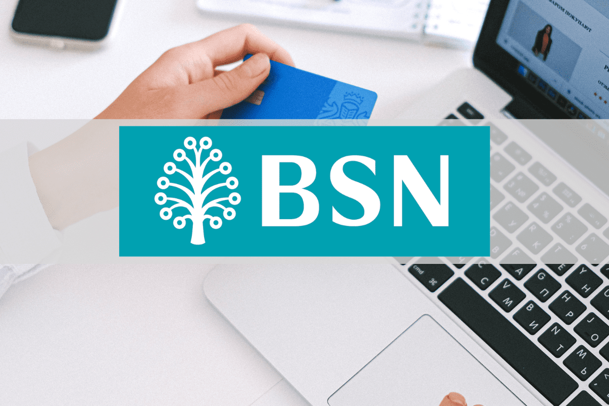 Semak Baki Pinjaman Peribadi BSN Online